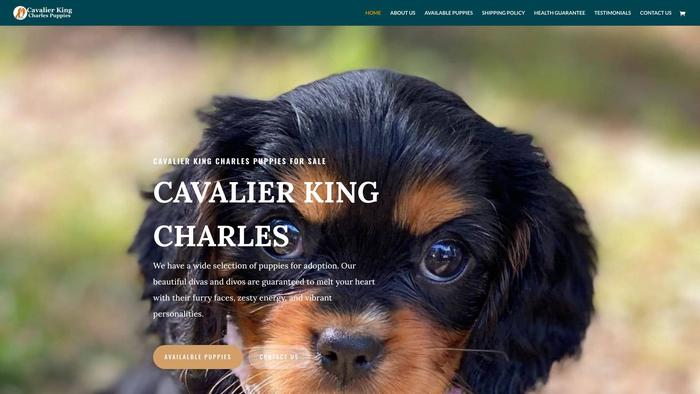 Cavalierkingcharlespuppies.org - Cavalier King Charles Spaniel Puppy Scam Review