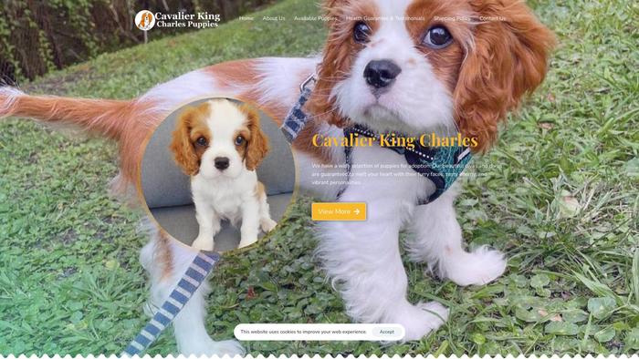 Cavalierkingcharlespupsboutique.com - Cavalier King Charles Spaniel Puppy Scam Review