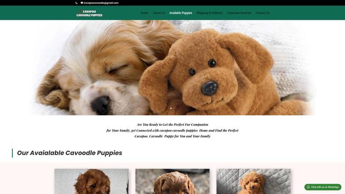 Cavapoocavoodlepuppies.com - Cavapoo Puppy Scam Review