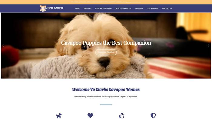 Cavapooclassified.com - Cavapoo Puppy Scam Review