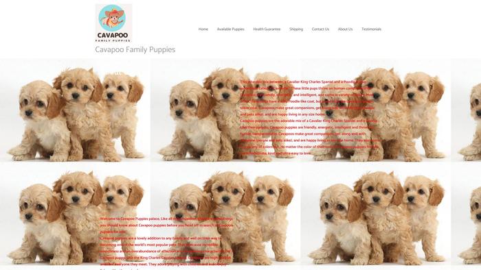 Cavapoofamilypups.com - Cavapoo Puppy Scam Review