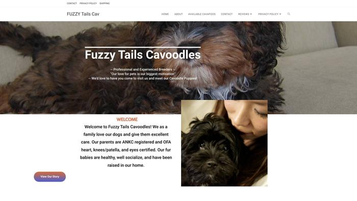 Cavoodlesfuzzytails.com - Cavapoo Puppy Scam Review