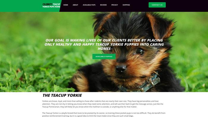 Celebrityteacupyorkiepupshome.com - Yorkshire Terrier Puppy Scam Review