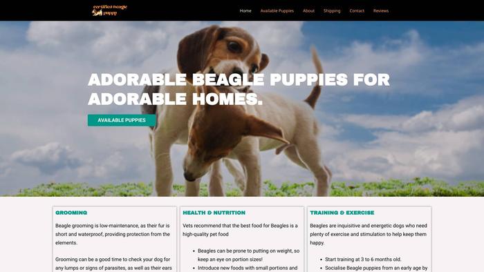 Certifiedbeaglepuppybreeders.com - Beagle Puppy Scam Review