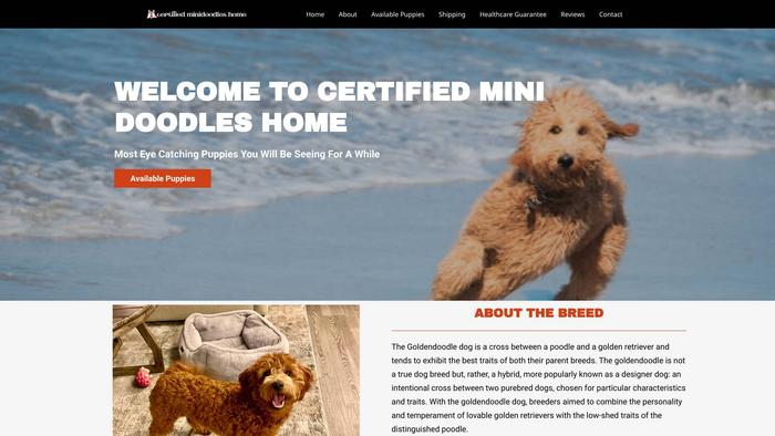 Certifiedminidoodleshome.com - Labradoodle Puppy Scam Review