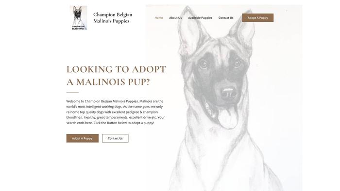 Championbelgianmalinoispuppies.com - Germanshepherd Puppy Scam Review