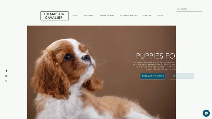 Championcavalieraustralia.com - Cavalier King Charles Spaniel Puppy Scam Review