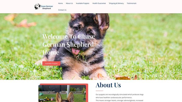 Chasegermanshepherd.com - Germanshepherd Puppy Scam Review