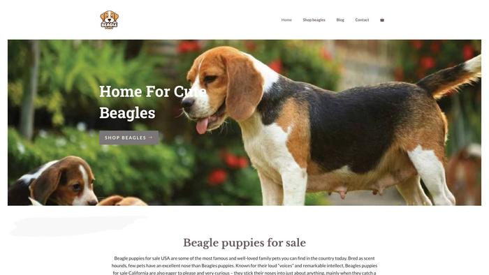 Cheapbeaglepuppies.com - Beagle Puppy Scam Review