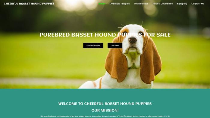 Cheerfulbassethoundpuppies.com - Bassethound Puppy Scam Review