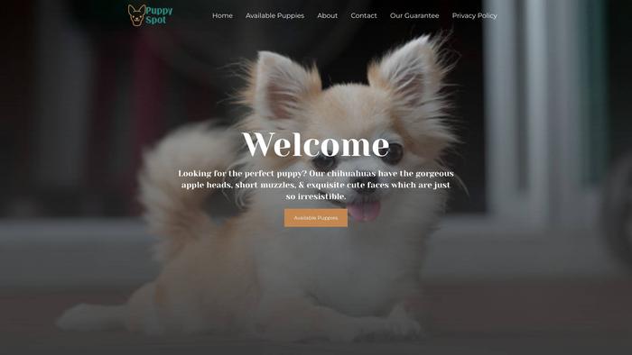 Chihuahuapuppyspot.com - Chihuahua Puppy Scam Review