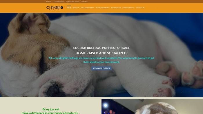 Chivarobullies.com - French Bulldog Puppy Scam Review