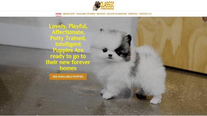 Classicteacuppomeranianpupshome.com - Pomeranian Puppy Scam Review