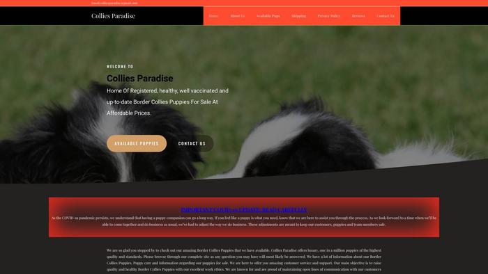 Colliesparadise.com - Bordercollie Puppy Scam Review