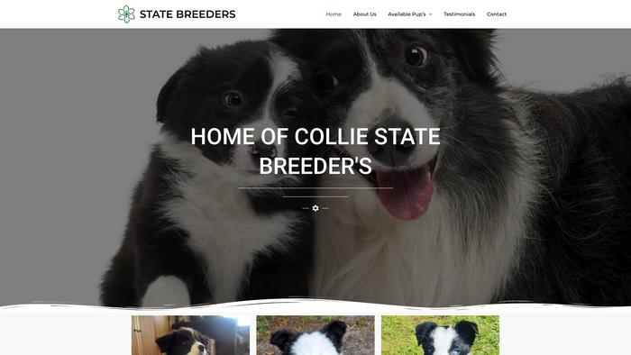 Colliestatebreeders.com - Bordercollie Puppy Scam Review