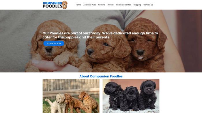 Companionpoodles.com - Poodle Puppy Scam Review