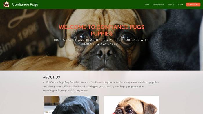 Confiancepugs.su - Pug Puppy Scam Review