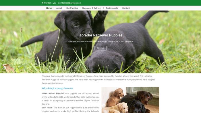 Cordial4you.com - Labrador Puppy Scam Review