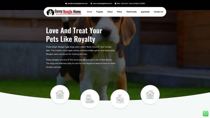 Coreybeaglehome.com - Beagle Puppy Scam Review