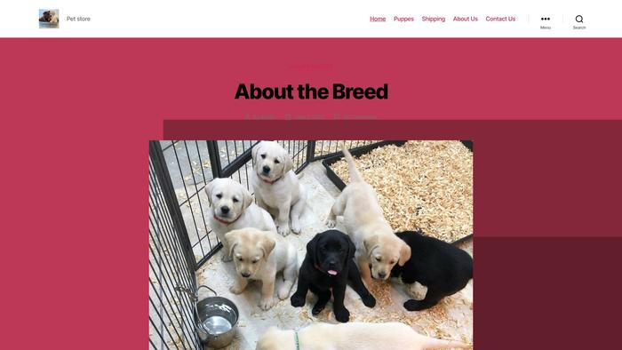 Corrislabradors.com - Labrador Puppy Scam Review