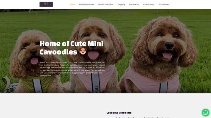 Cutecavoodlespuppieshome.com - Cavapoo Puppy Scam Review