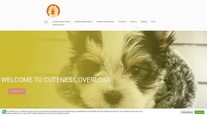 Cutenesoverload.com - Maltese Puppy Scam Review