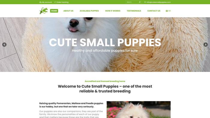 Cutesmallpuppies.com - Pomeranian Puppy Scam Review