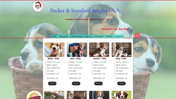 Dabeagles.com - Beagle Puppy Scam Review