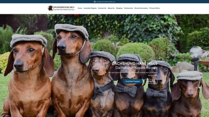 Dachshundharehills.com - Dachshund Puppy Scam Review