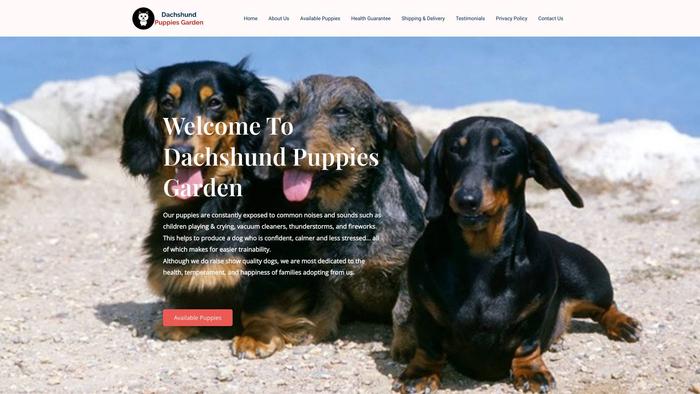 Dachshundpupsgarden.com - Dachshund Puppy Scam Review