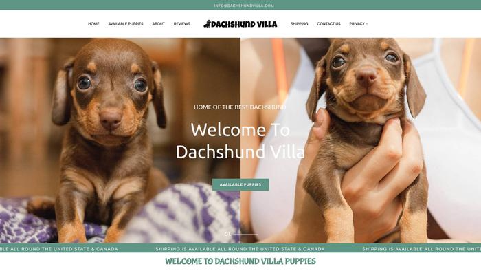 Dachshundvilla.com - Dachshund Puppy Scam Review