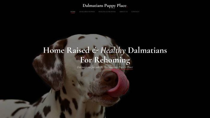 Dalmatianpuppyplace.com - Labrador Puppy Scam Review