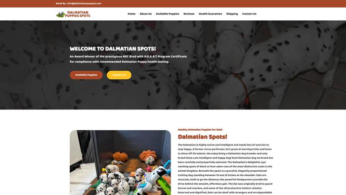 Dalmatianpupspot.com - Labrador Puppy Scam Review