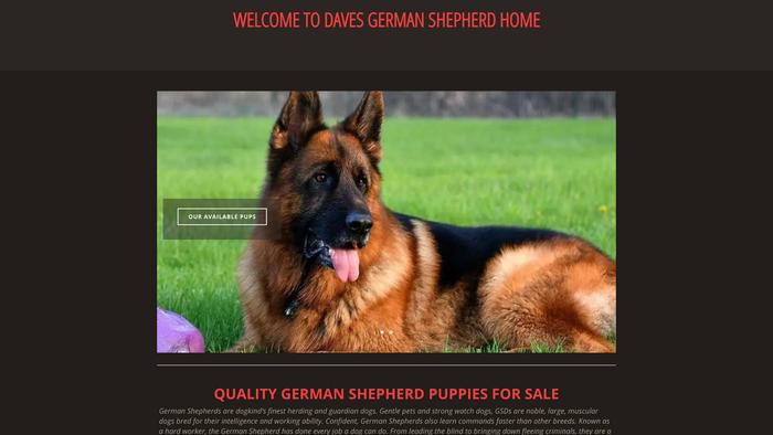 Davesgermanshepherdhome.com - Germanshepherd Puppy Scam Review