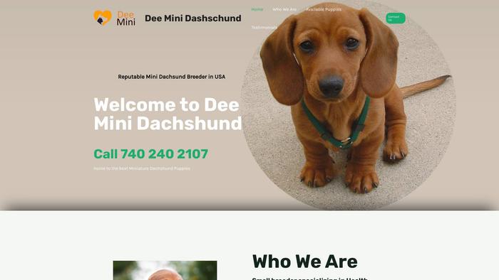 Deeminidachshunds.com - Dachshund Puppy Scam Review