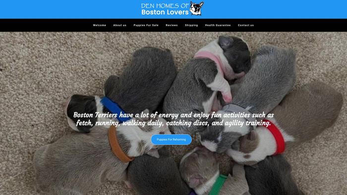 Denhomesofbostonlovers.com - Boston Terrier Puppy Scam Review