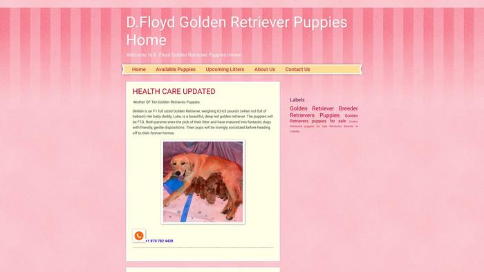 Dfloydpuppieshome.dog - French Bulldog Puppy Scam Review