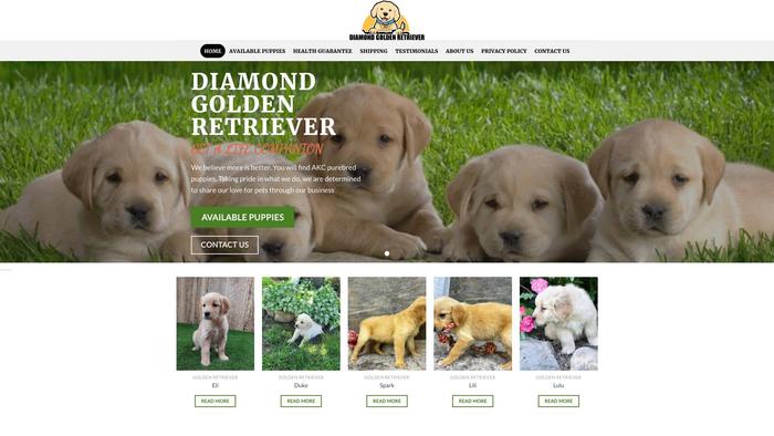 Diamondgoldenretriever.com - Golden Retriever Puppy Scam Review