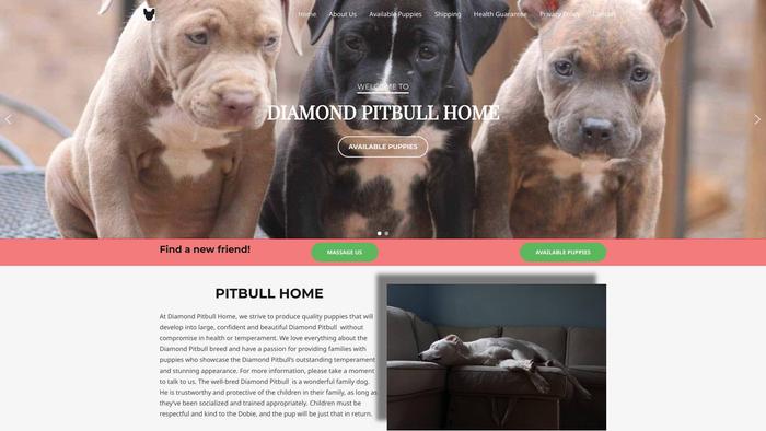 Diamondpitbullhome.com - Pit Bull Puppy Scam Review