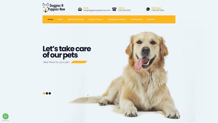 Doggiesnpuppiesnow.com - Labrador Puppy Scam Review