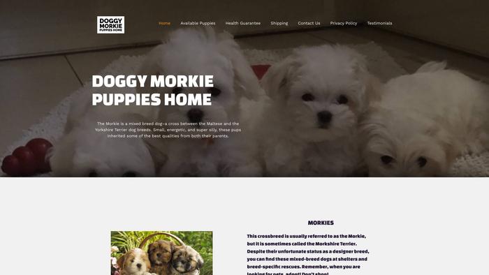 Doggymorkiepuppieshome.com - Yorkshire Terrier Puppy Scam Review