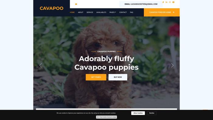 Ducksteincavapoopuppies.com - Cavapoo Puppy Scam Review