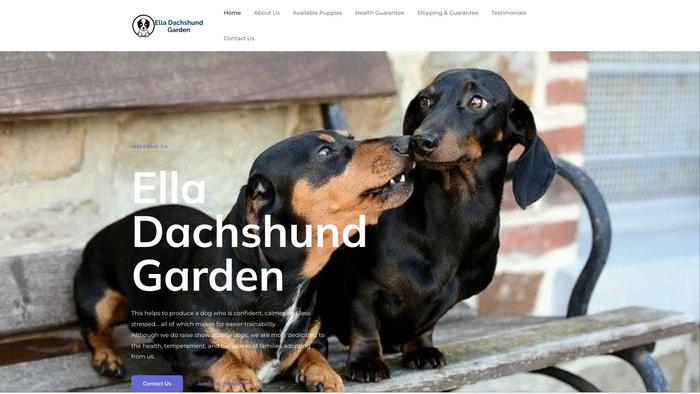 Elladachshundgarden.com - Dachshund Puppy Scam Review