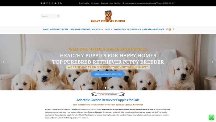 Emilysretrieverpuppies.com - Golden Retriever Puppy Scam Review