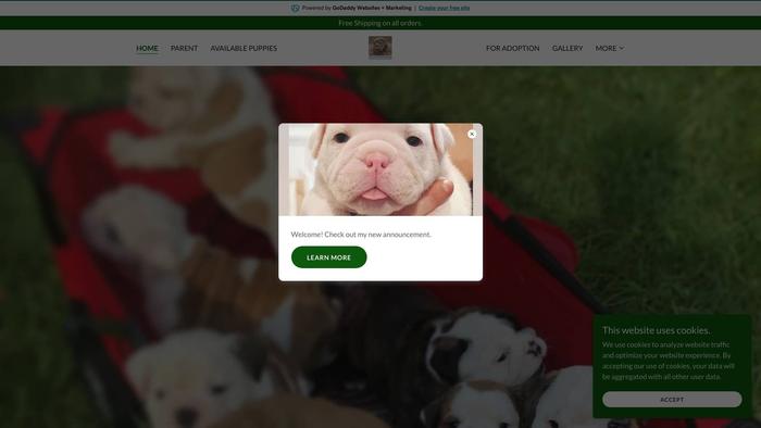 Englishbulldogpuppies.godaddysites.com - English Bulldog Puppy Scam Review