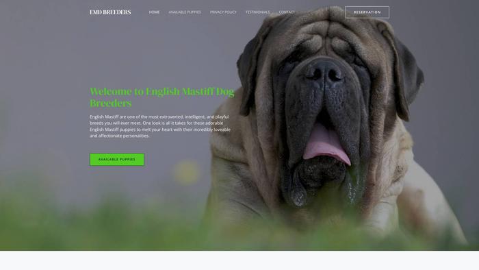 Englishmastiffdogbreeds.com - Tibetan Mastiff Puppy Scam Review