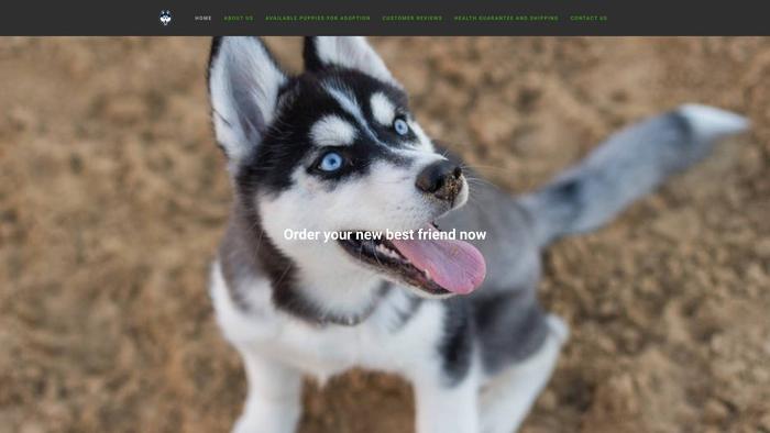 Entertaininghuskypuppies.com - Husky Puppy Scam Review