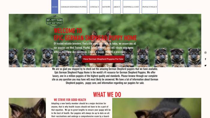 Epicgermanshepherdpuppies.com - Germanshepherd Puppy Scam Review