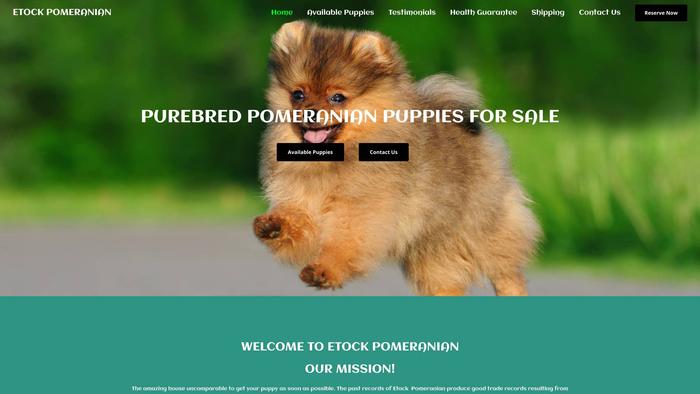 Etockpomeranian.com - Pomeranian Puppy Scam Review