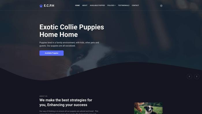 Exoticcolliepuppieshome.com - Bordercollie Puppy Scam Review